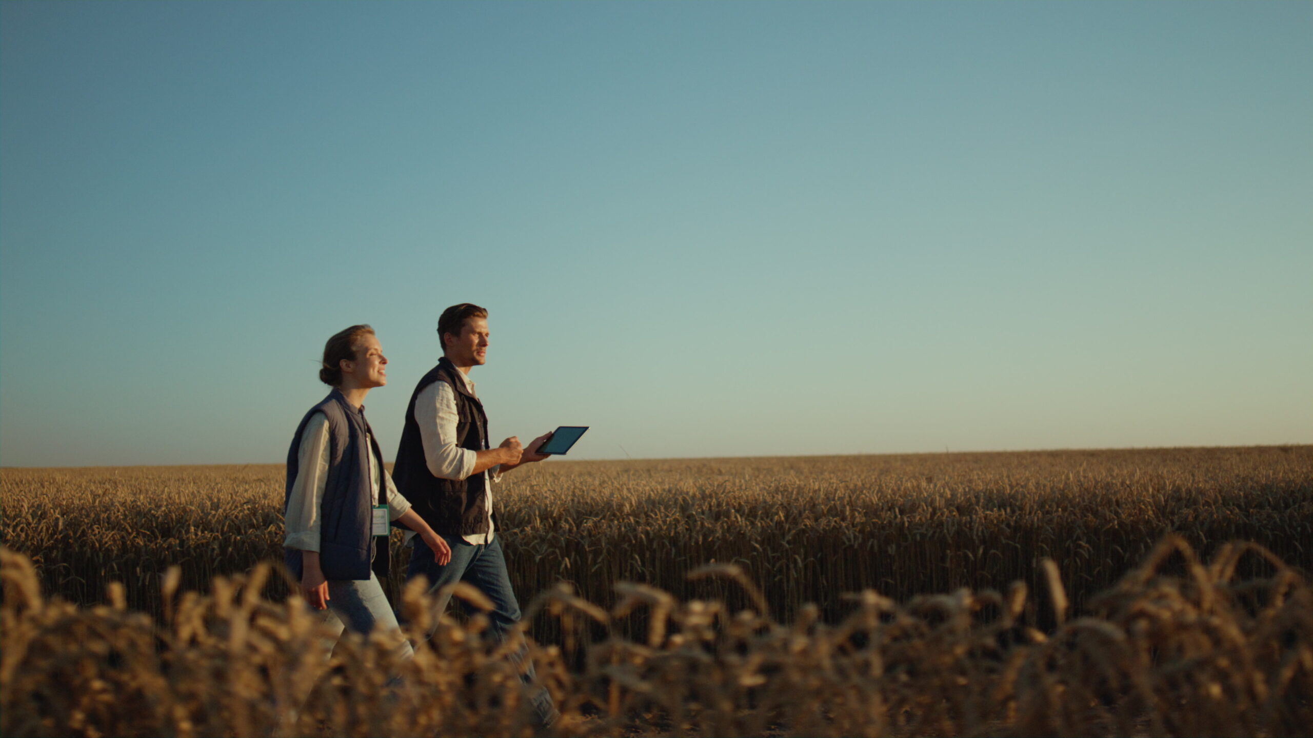 Two farmers talking in a field