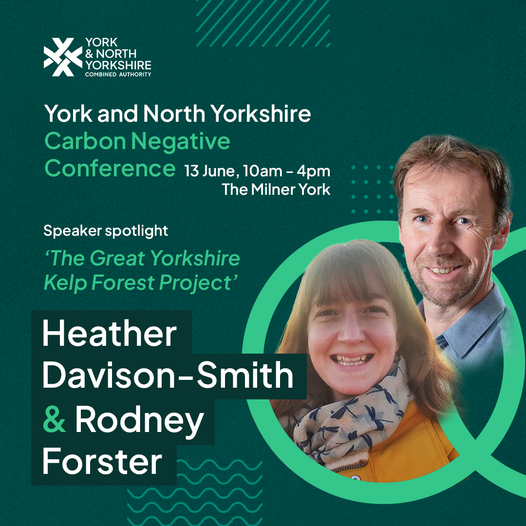 The Great Yorkshire Kelp Forest