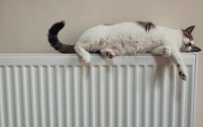 “What is Retrofit?” and other frequently asked questions