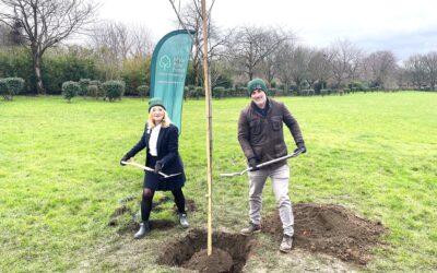 White Rose Forest to plant 134 million trees