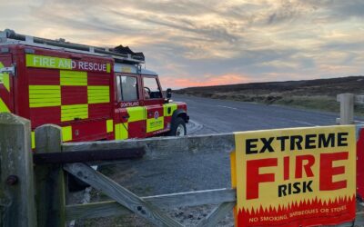 Deputy Mayor Jo Coles update on Langdale Fire investigation