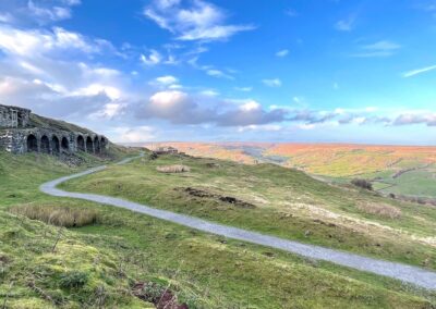 Local Investment in Natural Capital