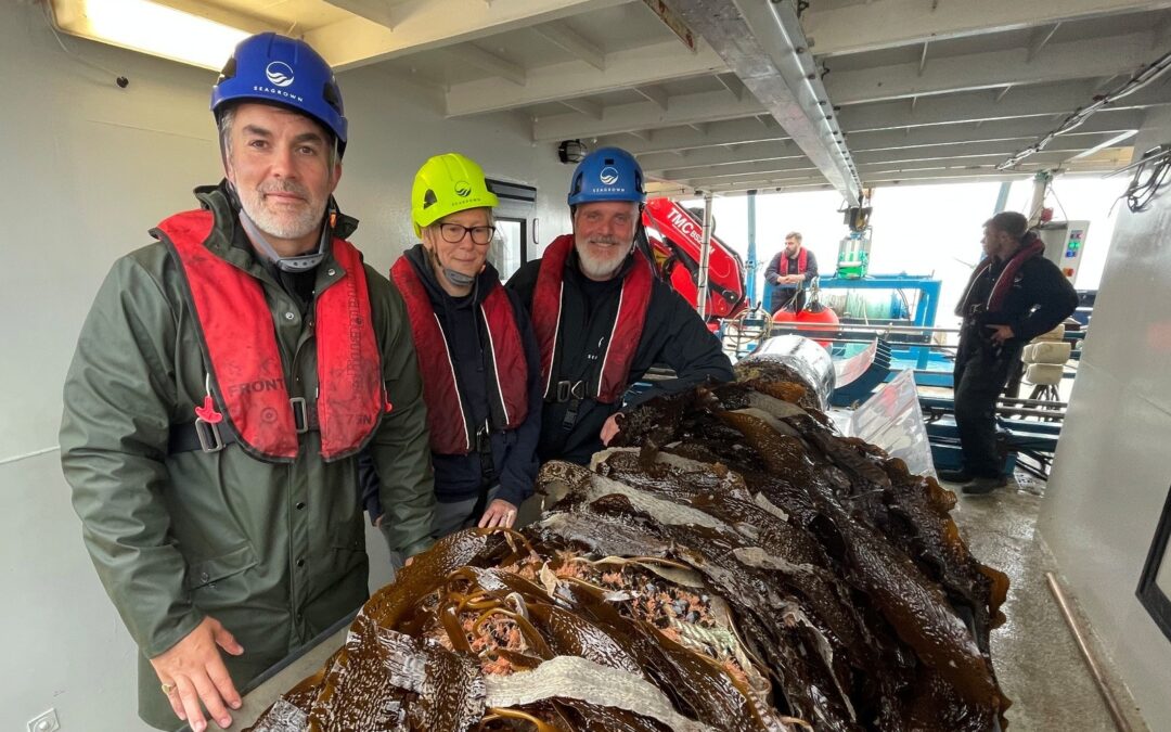 York and North Yorkshire Mayor, David Skaith, at sea with the SeaGrown team